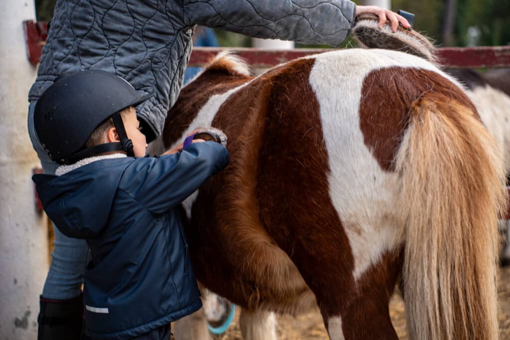Maman et son fils brossant un poney au Club Hippique de la Côte Basque.