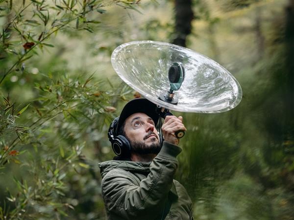 Balade nature sonore