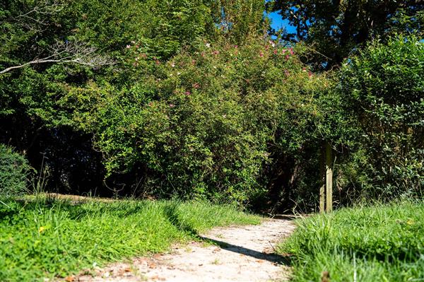 Dario Tonini Parc Montaury