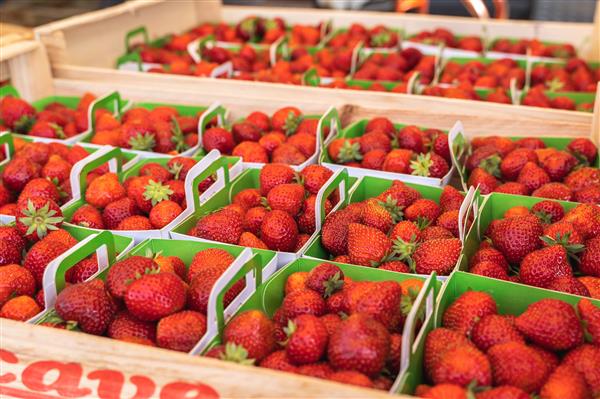 Marché de Quintaou Anglet