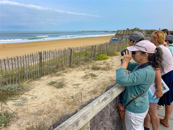 Visite guidée A la découverte de la gestion du littoral