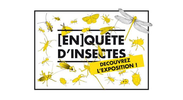 Exposition En[quête] d’insectes - Carrefour des Sciences et des Arts
