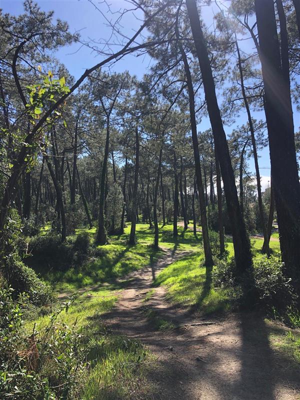 Nahetrail - Run touristique